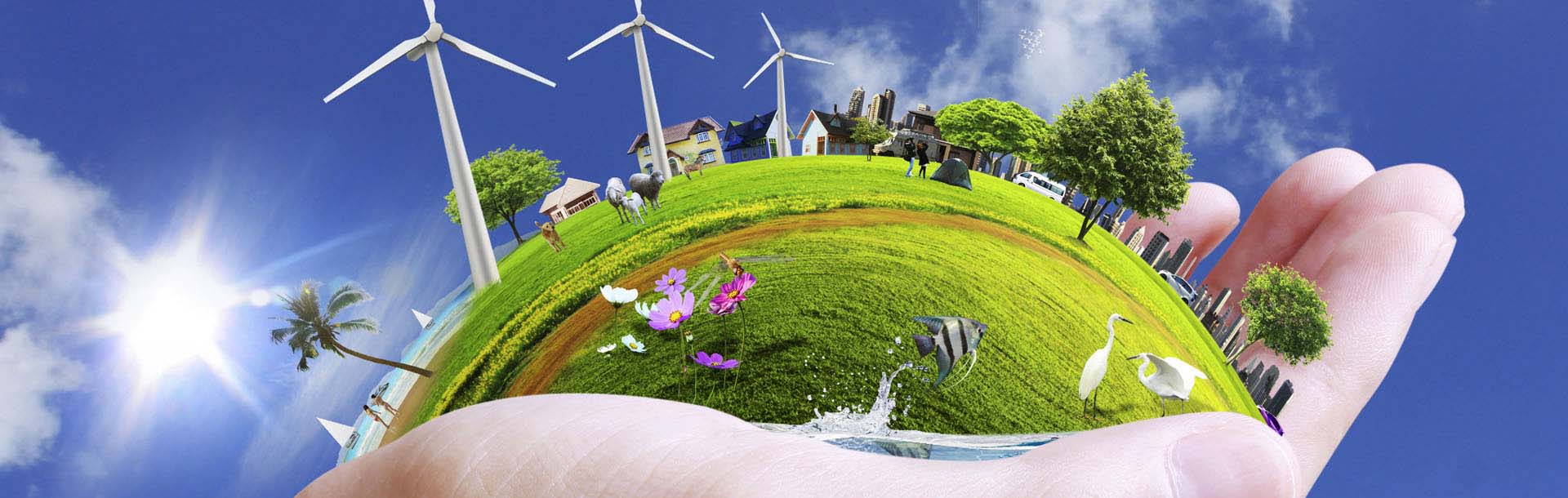 Environmental Fun Facts