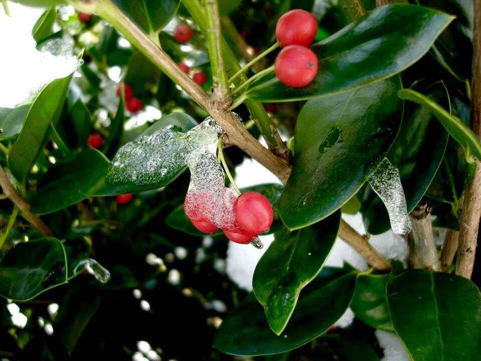 Merry Christmas from the KPWB Family